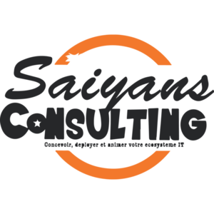 Saiyans Consulting Limited